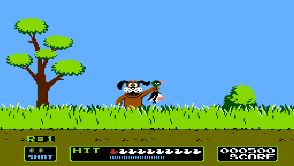 Duck Hunt